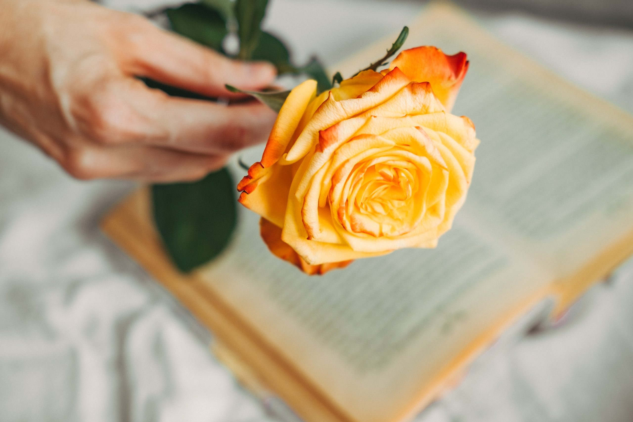 poesía erótica para 55mas